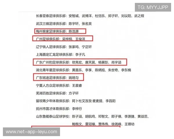 2026年篮球联赛青训奖项评选规则细化，青少年篮球精英赛