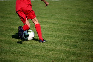 乐鱼体育官网登录-校园足球教练培训体系现状与改革思路，校园足球师资培训